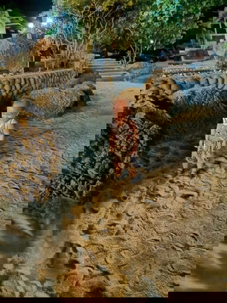 Paano po turoan mag salita ang isang taong gulang?