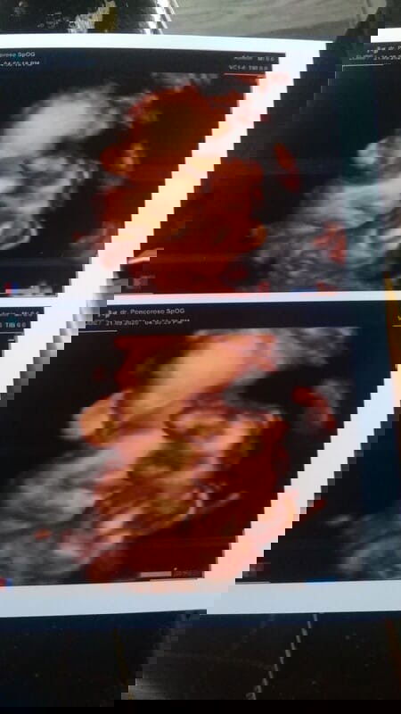 di sini ada gak hpl nya november🤭