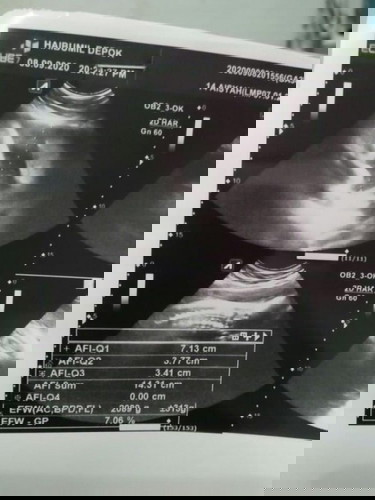 Alhamdulillah, MasyaAllah Tabarakallah (23 September 2020)