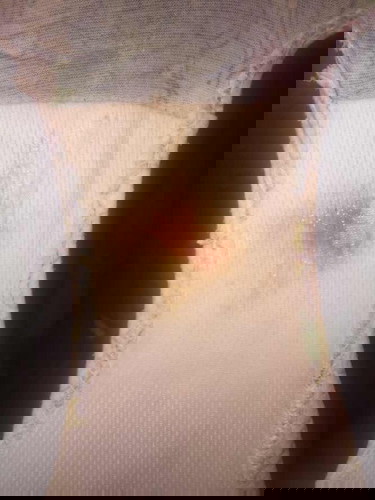 Need nba pumunta sa ob??