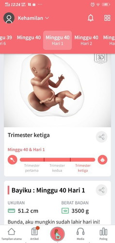 Kehamilan lewatnya HPL