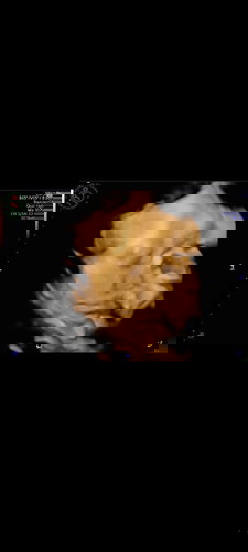 Tentang kehamilan ..