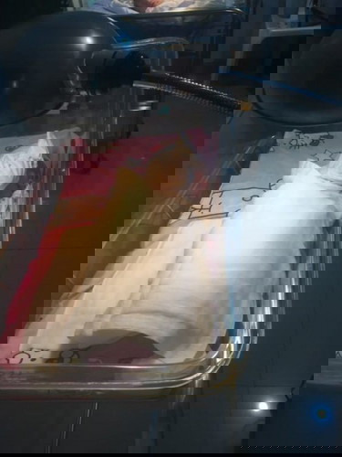 Our Little Angel Love ❤