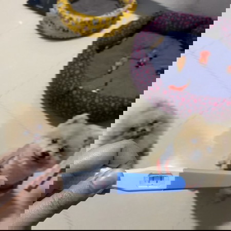 ตอนรู้ว่าตั้งครรภ์ครั้งแรก รู้สึกมีความกังวลอะไรบ้างไหมคะ