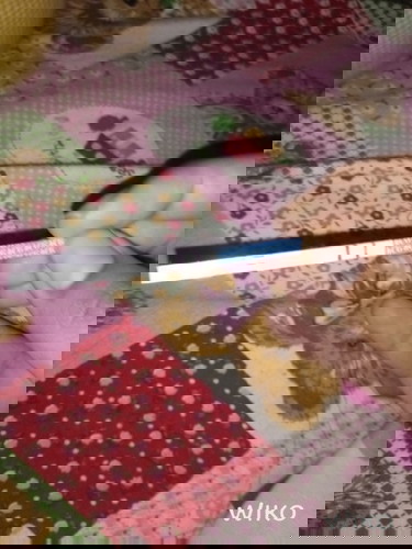 ขออนุญาตค่ะ