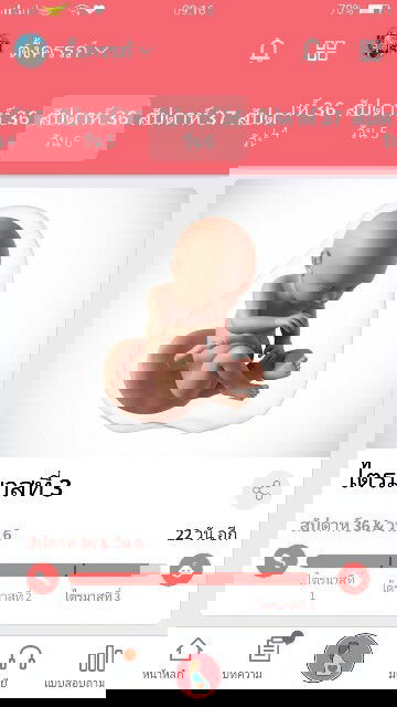 แม่ๆเดือนตุลา