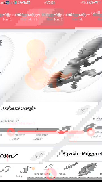 Induksi itu aman gak ya?¿