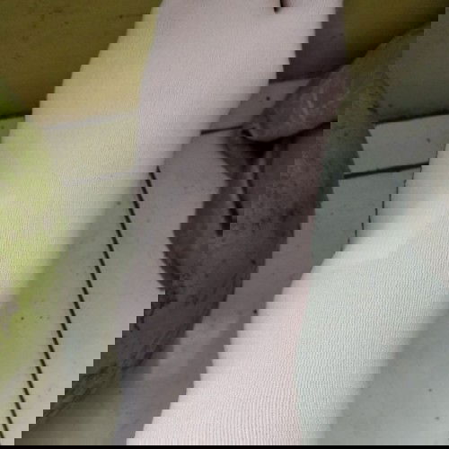 Hilang fokus saat hamil