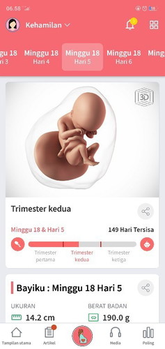 Bun klo hamil 18 Minggu 5 hari hamil berapa bulan ya Bun....???