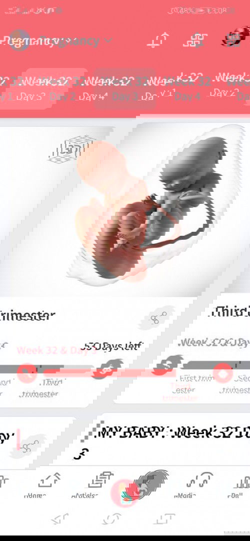 My latest ultrasound