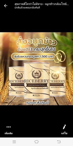 จมูกข้าว