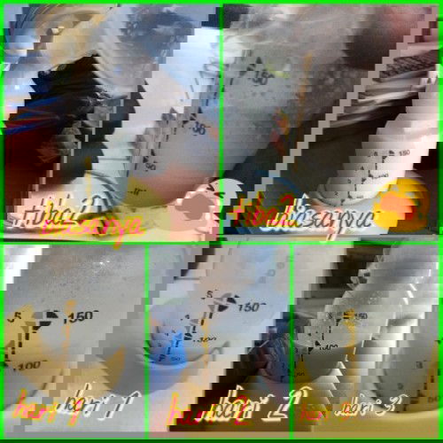 diet sehat dan aman untuk ibu menyusui