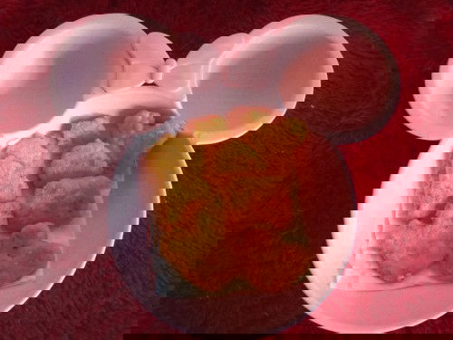 Perkedel Tahu ( snack MPASI 8+ )