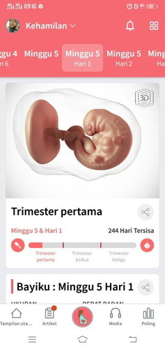 trimester pertama