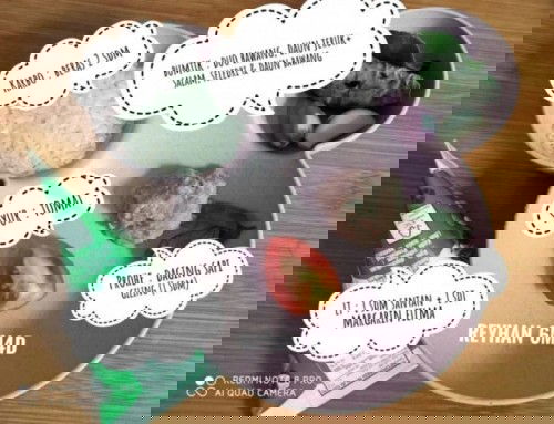 MPASI MENU LENGKAP (booster BB) : BUBUR DAGING