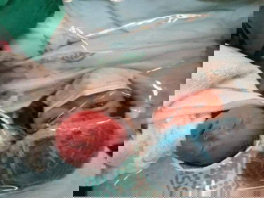 Meet our Prankster Baby!