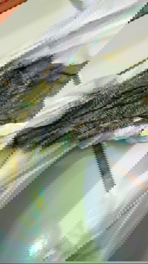 Pup tidak berwarna kuning