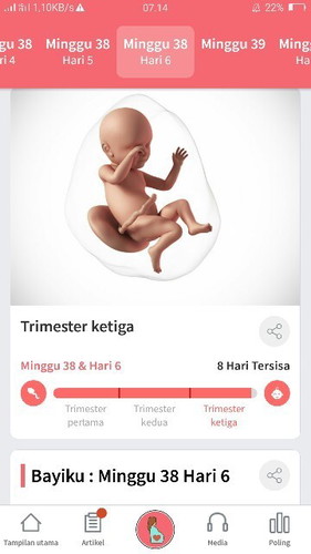 Udah ngerasain konpal