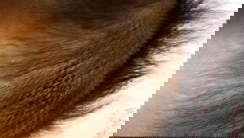 แม่ๆอยากทราบว่าหัวลูกเป็นอะไร