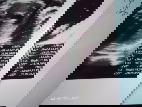 tolong dijawab segera soal hpl!!!