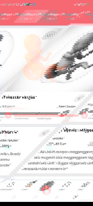 Bismillahirrahmanirrahim