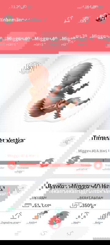 Diksh obat Invitec tab