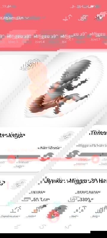 Minta Doa & 'Amin'🙏🏻