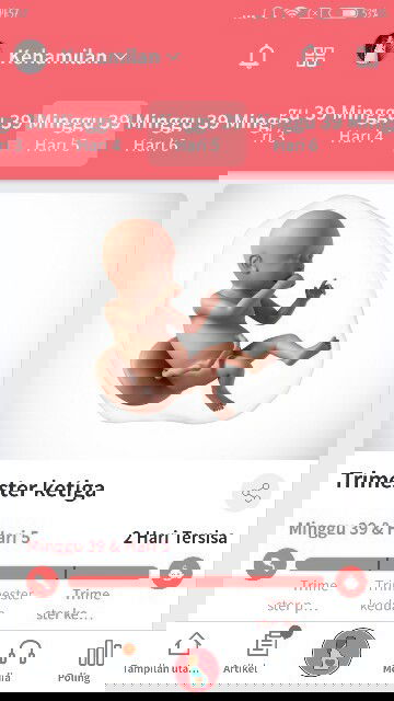 Dedek msh anteng didlm perut