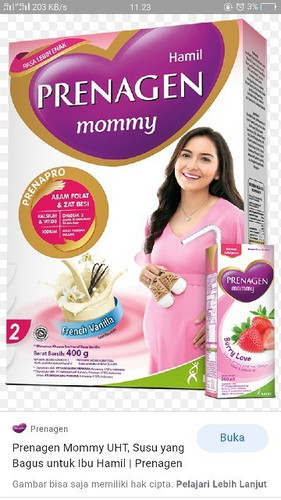 Susu bumil