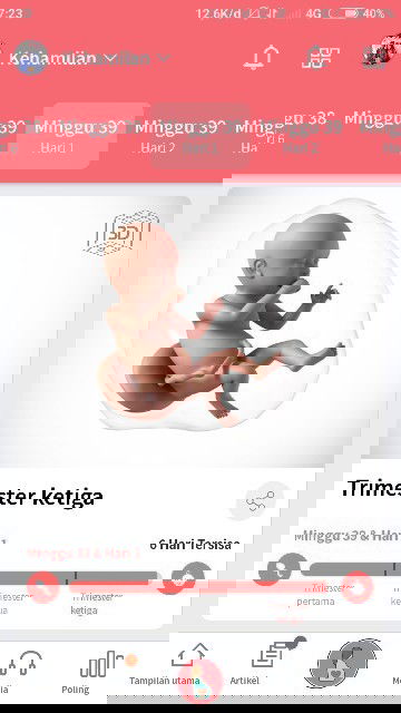 Menjelang persalinan