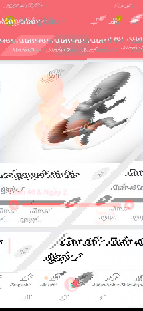 Đợi chờ là hạnh phúc.