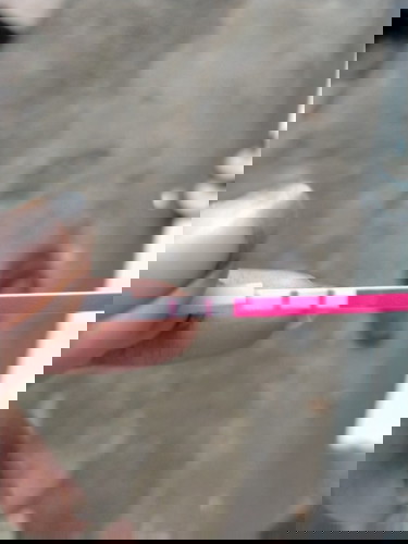 Penantian 1 tahun lebih