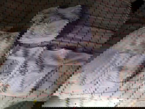 Masyado po ba maliit