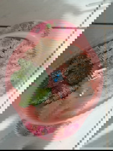 MENU MPASI 4 BINTANG