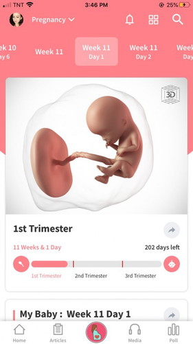 Hi, just want to share my first trimester ❤️
