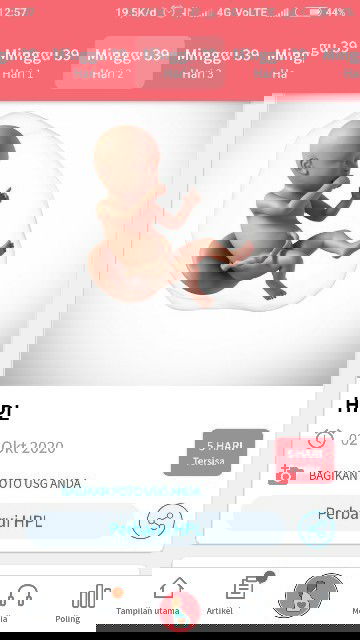 nunggu gelombang cinta