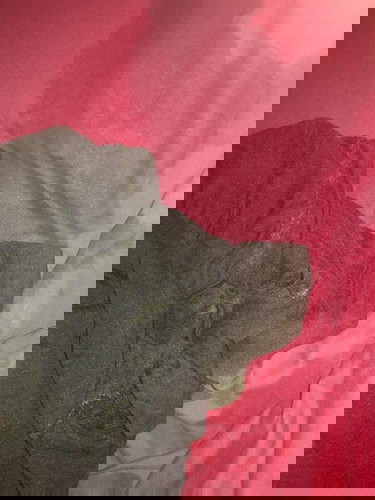 น้ำนมไหลตลอดเวลา ไหลแบบไม่มีท่าว่าจะหยุด 😂