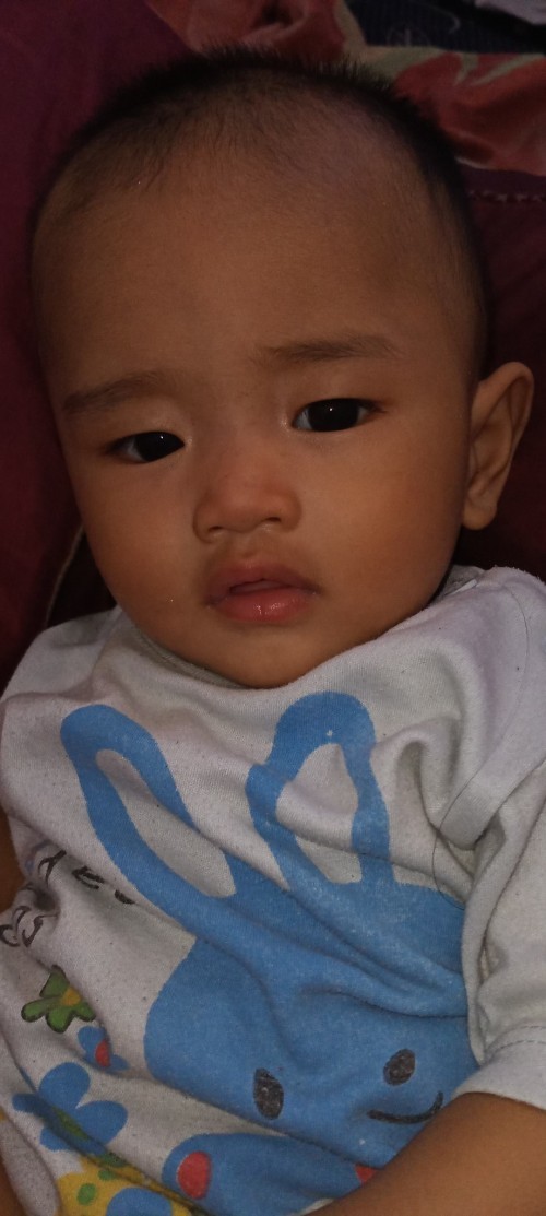 Susu formula bayi