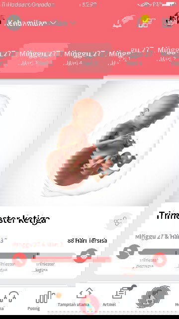 Sharing bun.. Usia kehamilan 27 w 3d..