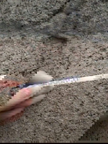 ปรึกษาหน่อยคะท้องแรก