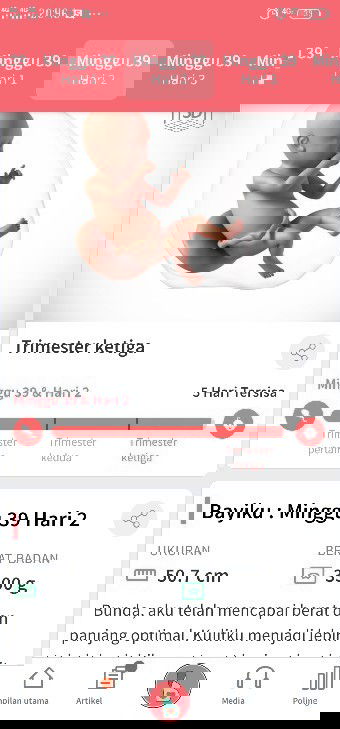 Mohon doa agar disegerakan launching bun