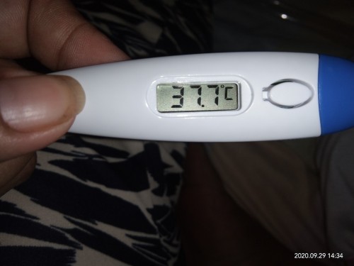 37.7 body temperature