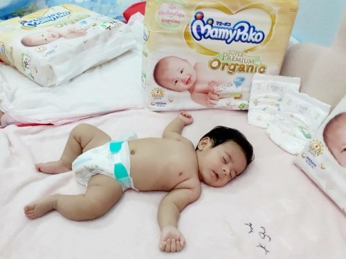 น้องวิกเตอร์โตไวมาก แป๊บเดียวก็เปลี่ยนจากโพโคออร์แกนิคไซซ์ NB เป็น S แล้วค่า เลี้ยงง่ายโตไวมาก   วิก