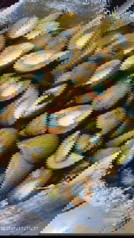 Makan rujak setelah melahirkan