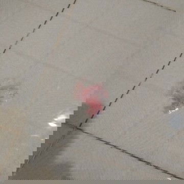 Apakah saat hamil hidung dan tenggorokan menjadi sensitif, jadi mudah terluka?