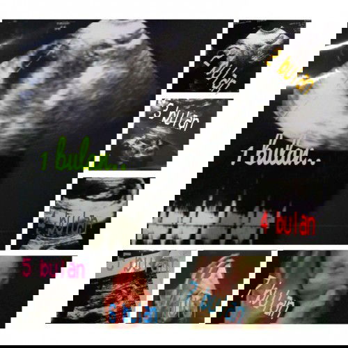 Alhamdulillah hasil USG dari 1—7 bulan..