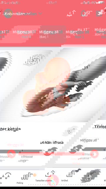 Ada yang sma kah bun?