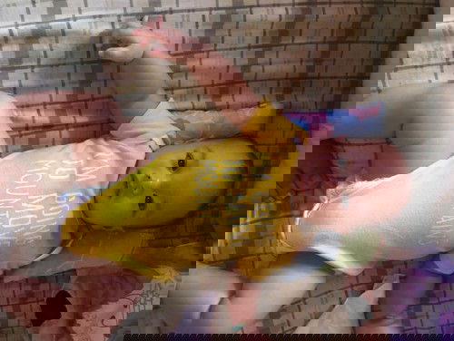 Baby Gray 💙
Hi mga moms, lagi nka bukaka bb q kpag nahiga, madadala nya ba yun kapag naglagad na sya? 4mons po bb q. Tnx