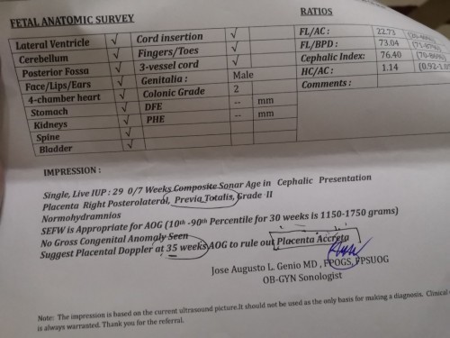 Placenta Accreta / Previa Totalis, Grade II