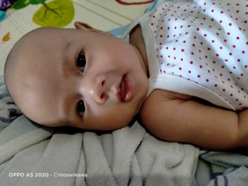 แนะนำชื่อน้องหน่อยค่ะ